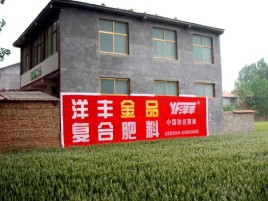昭觉如何让墙体广告展现最大化效果